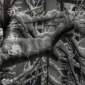 大棒子一进一出动态图
